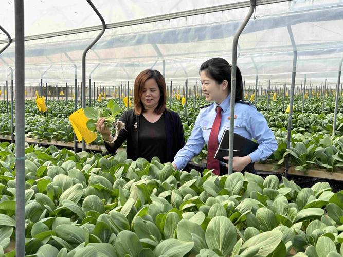 税惠春风暖三农，中山税务精准服务助春耕