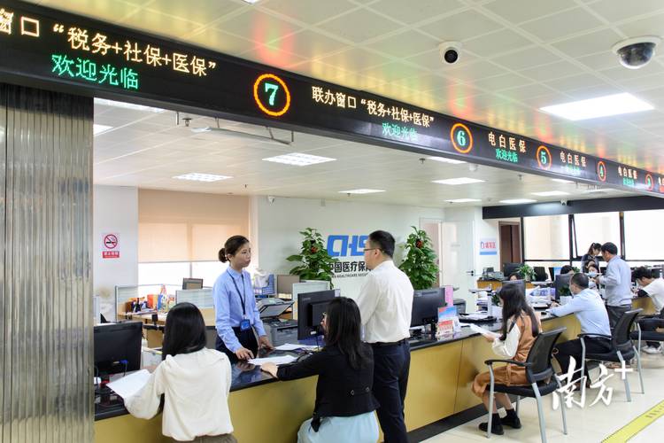 电白实现“税务+社保+医保”22项业务“一窗办” 税务服务再升级